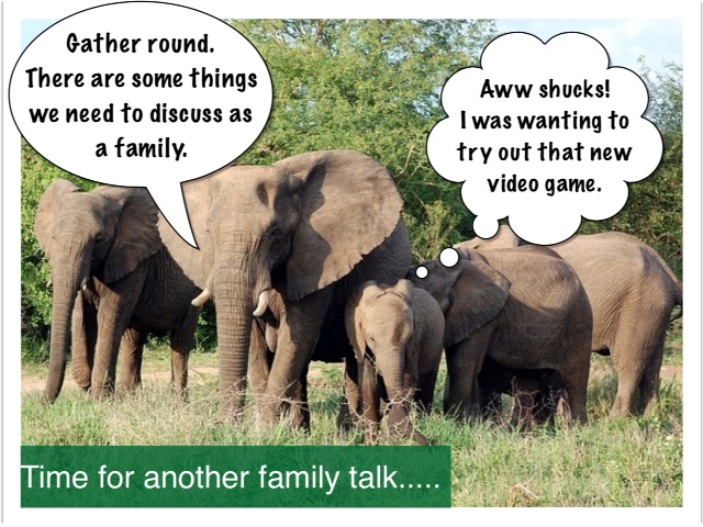 family talk - elephants